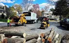 Milton, PA Tree Removal and Landscaping Services Company